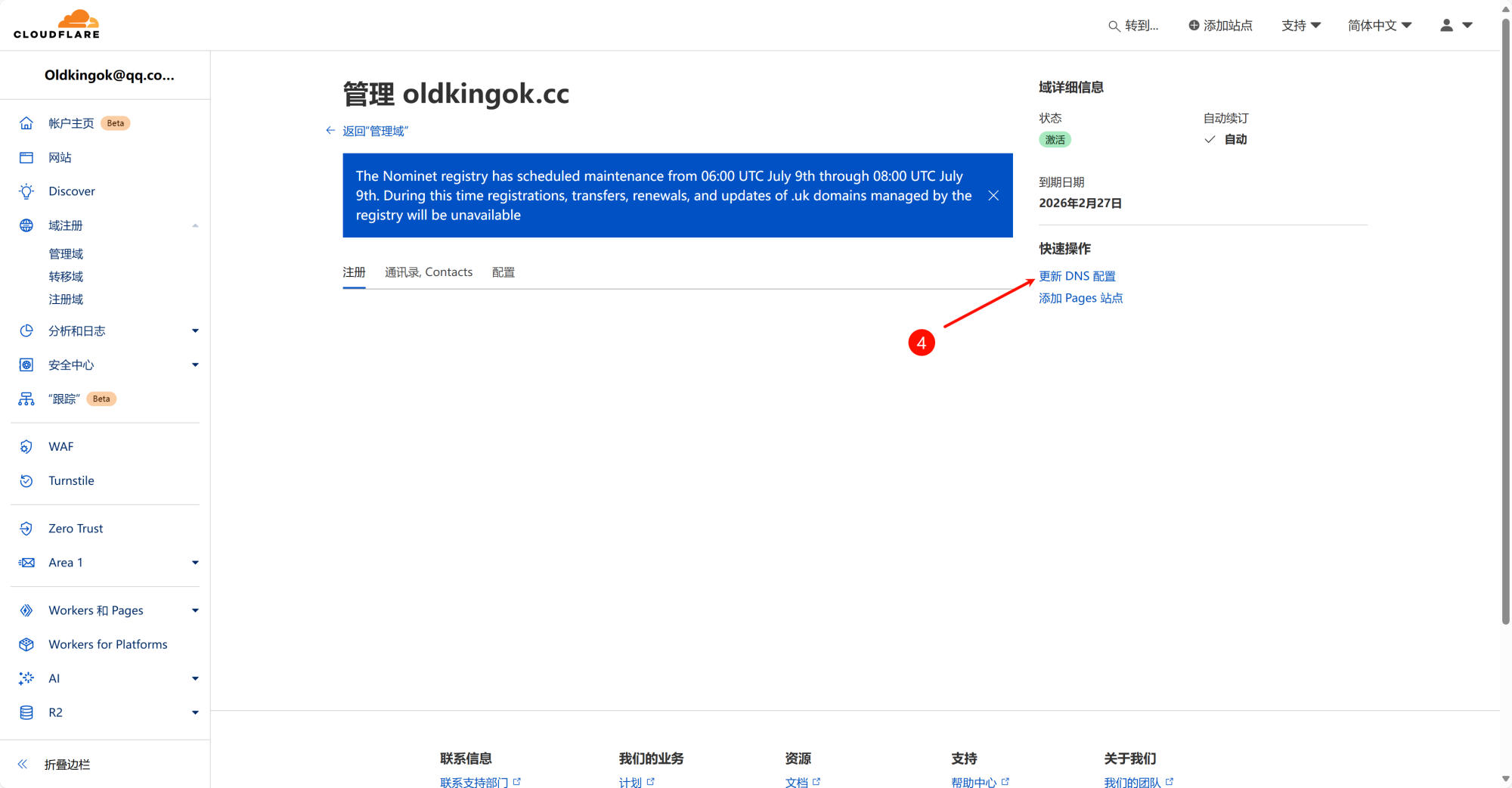 DNS 设置